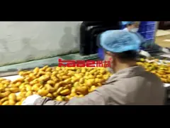 Линия по переработке манго 120 т/ч Линия по производству фруктового пюре video