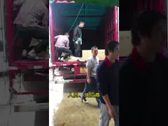 Полировка CNC деталей прецизионной обработки заказать заказ деталей на заказ для аэрокосмической промышленности video