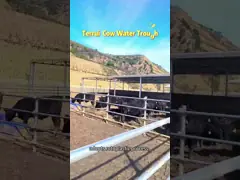 High Capacity Livestock Water Trough With 140L Volume And 100-120L/min Flow Rate video