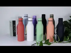 17oz Sport roestvrij staal geïsoleerde waterflessen lekbestendig