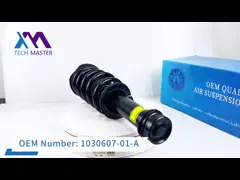 Coil Spring Shock Absorber Audi R8 ADS Front Rear 420412019AG