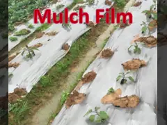 ПП ткань рулоны борьбы с сорняками покрытие земли сорняки для сельского хозяйства/ПП ткань с 3% УФ video
