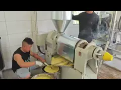 China Large Capacity  Palm Kernals Oil Processing Machines Mustard Seeds Oil Extraction supplier