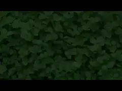 одобрила смарт-устройство для отслеживания состояния здоровья чернокожих с экстренным SOS video