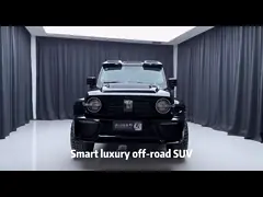 एसयूवी ग्रेट वॉल टैंक 300 कार गैसोलीन वाहन 2.0t वेई टैंक 300 एसयूवी