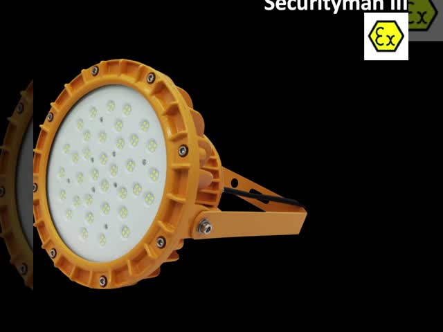 Atex Industrial Workshop 60W/80W IP66 Special Chemical Plant Lighting Waterproof LED Explosion Proof Light