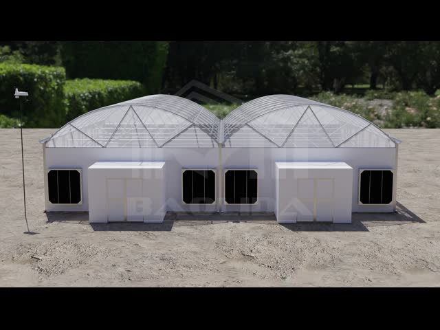 Anti UV PE Film Light Deprivation Greenhouse With Automatic Ventilation System