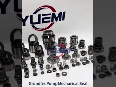 Flange Cartridge Grundfos Pump Mechanical Seal GLF-G4-22mm HQQE