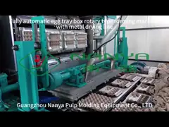 Поднос яичка пульпы прессформы делая производственную линию подноса плодоовощ машины однослойный video