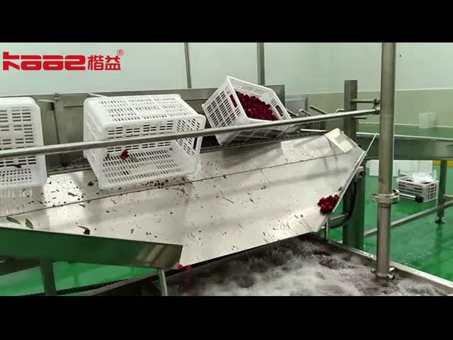 ターンキー SUS304 ベイベリーベリージュース機 フルーツジュース機器