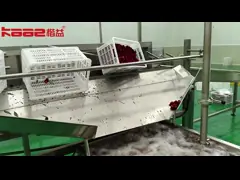 Электрическая соковая машина для фруктовых соков и ягод высокоскоростная соковая машина video