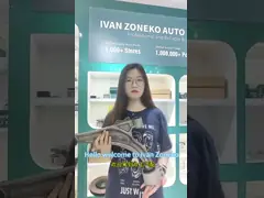 Ivanzoneko merk - volledige reeks besturingsarm