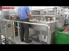 Серебряная легко очищаемая 4000 кг / ч. Машина для переработки фруктов и овощей с чистой массой 300 кг. video