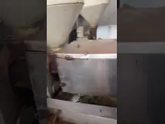 200-300 кг/ч Электрическое отопление Коммерческая маслопрессовая машина Кокосовое масло video