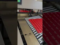 Smooth Finish Unique Design Playing Card Games Deck With Durability And 4 Suit Variations