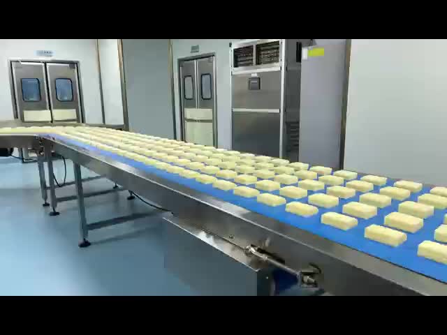 FDAは検出の標準/食糧におよび薬剤の金属探知器/食糧金属の検出システム金属をかぶせます