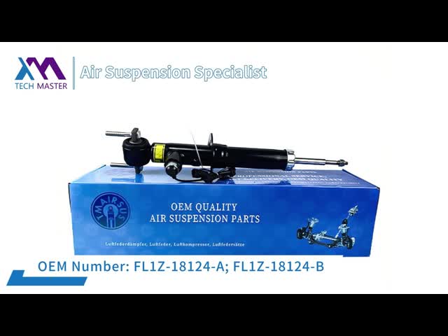 Левая сторона зада Audi A6 C6 Quattro S6 с подвесом воздуха ADS сотрясает удар 2004-2010 весны воздуха 4F0616031F OEM 4F0616031M видео