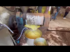 High Oil Rate Coconut Screw Oil Press Machine 400-500kg/H Coldpress Groundnut Oil Mill