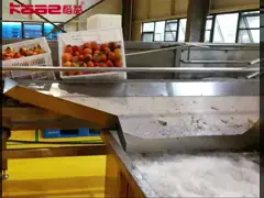 Интеллектуальный сушильщик для дома с персимом виноград абрикосы и многие фрукты и овощи video