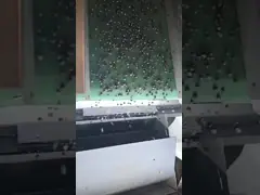 Juniper Color Sorting Machine From China WENYAO Color Sorter Factory