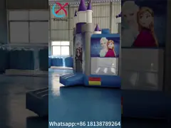 مبيعات ساخنة منزل القفز المضخم المجمّد الكرتون المضخم المنزلق للحفلات القصر المضخم للخارج الداخلي