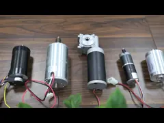 Автоматический двигатель открывателя дверей DC 12v 24v с планетарной коробкой передач червя для дверных ворот Автоматизация открытия Подъем и скольжение video