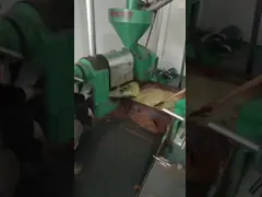 40-60кг/ч Скрубные масляные прессы Машины для получения масла Машины для прессования Машины для прессования масла video