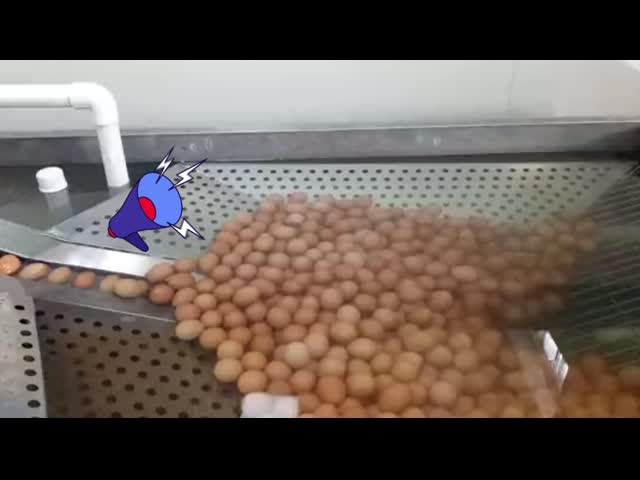 液体卵加工工場 破裂と分離 パスタライザー詰め機械