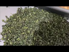 3300W Máquina de molienda de hierbas de alta potencia Refrigeración por agua DF-50B video