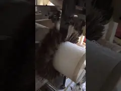 Специализированная конская цилиндрическая щетка для очистки пищевых продуктов video