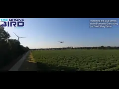 Фиксированное крыло АГ беспилотник сельскохозяйственный беспилотник разрешение 720p Framerate 60fps FOV 150 градусов video