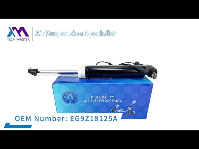 Передняя левая сторона и правый демфер 54611-3N500 амортизатора удара воздуха для Centennial Equus происхождения Hyundai Kia видео