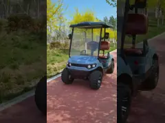 Электрическая тележка для гольфа с двумя местами, с батареей, хорошая конструкция, легкая. video