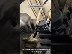 Горячие кованые компоненты CNC-обработка Горячая ковка Формирование Процесс Фланцы из нержавеющей стали Стандарт DIN video