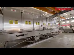 China Piece Silk Strip Mass Fruit And Vegetable Processing Machine supplier