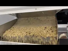 2021 Hot Selling 5 Chutes Candlenut CCD Nuts Color Sorter In Nuts Processing Line