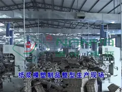 China Molded Pulp Thermoforming Machine for High Quality Cellphone Box supplier