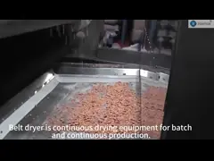 Сушильщик рапсовых семян Морковь Сушильщик луковичный пояс Сушильщик травяной корень video