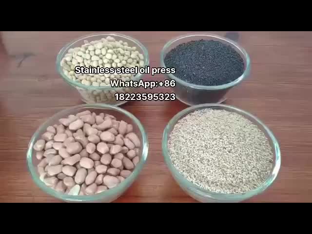 Efficient 220V Soybean Oil Processing Machine Extraction Machine Mini Oil Press For Sale