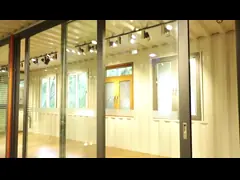 Стиль Виндовс современного дома алюминиевый сползая доказательства грызуна дизайна грилей video