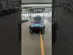 4-местный гольф-кошелек Свинцово-кислотные батареи Фабрика прямая продажа Дешевая цена Отличное качество video