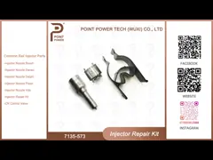 7135-573 Delphi Common Rail Injector Kits für allgemeine Schieneninjektoren 28229873, 33800-4A710
