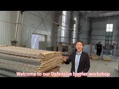 China Galvanized + PVC Coated Gabions Woven Wire Mesh Box Retaining Walls for Tender Project supplier