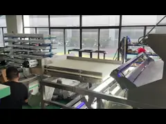 Belt Type Optical Color Sorter Frozen Fruit Color Sorter For Strawberry Raspberry