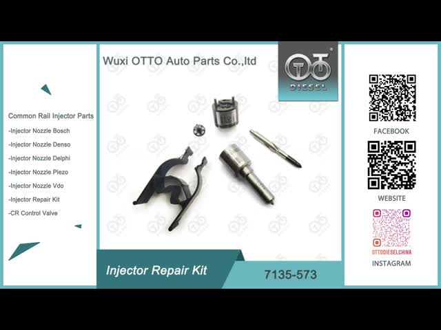 Kit de reparación del inyector Delphi para inyectores 28342997/R00001D/28307309 El video