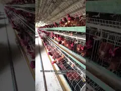 El ventilador de escape industrial optimiza el flujo de aire y crea un ambiente cómodo video