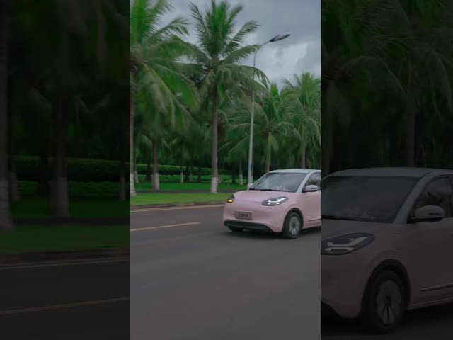 Electric EV Car Wuling  Binguo EV 5 Door 4 Seat 2024 New Energy Explosive  Cost-Effective Hatchback  Electric car