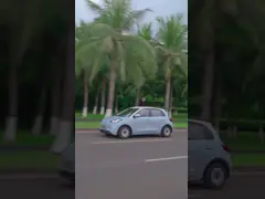 Véhicule électrique Wuling Binguo EV 5 portes 4 sièges 2024 Nouveau véhicule électrique à énergie explosive rentable