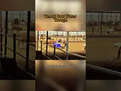 Контролируемая температурой голубая автополивка для скота с встроенным контролем температуры для скота video