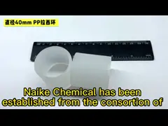 PP Raschig Rings For Tower Packing , PVDF Random Packing For Stripping Tower